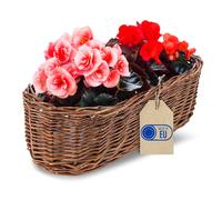 Wicker Flower Plant Pot | Wicker Basket Storage | Indoor & Outdoor