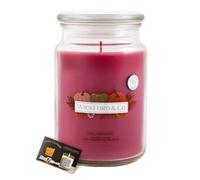 Wickford & Co Autumn Scented Candle | Large Jar 18oz | Long Burning Candles, 95 Hours | Luxury Candle Gifts for Harvest, Halloween, Fall Decor | Includes ShopZee Safety Tips Guide (Fall Dreaming)