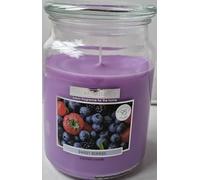 Wickford & Co. Large Scented Candle Glass Jar 15cm 450g - Sweet Berries & Honey Blossom