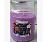 WICKFORD & CO Large Scented Candle in Glass Jar Burns UP to 95 Hours. 15cm 450g (Sweet Berries)