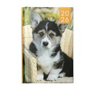 Widdle Gifts 2026 Midi Hardback Week To View Diary - Puppy design, suitable for Home, Bag, Office or School