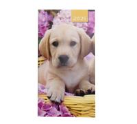 Widdle Gifts 2026 Slim Pocket Diary - Two Weeks To View - suitable for Home, Bag, Office or School (Labrador Puppy)