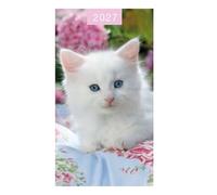 Widdle Gifts 2027 Slim Pocket Diary - Two Weeks To View - suitable for Home, Bag, Office or School (White Kitten)