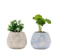Widdop and Co Disney Alice In Wonderland Set Of 2 Mini Planters With Faux Plants