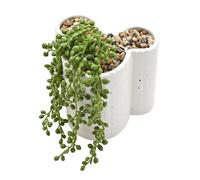 Widdop and Co Disney Mickey Shapes Planter With Faux Plant