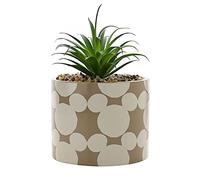 Widdop and Co Faux Plant, Ceramic, White, 20 x 13 cm
