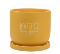 Widdop Bright Yellow Ceramic Plant Pot With Saucer Rooting For You Planter Large Country Living