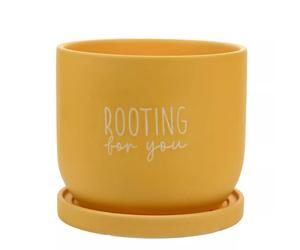 Widdop Bright Yellow Ceramic Plant Pot With Saucer Rooting For You Planter Large Country Living