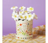 Widdop Love Life Ceramic Plant Pot - Mum