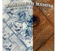 Wide Mouth Mason - Shot Down Satellites