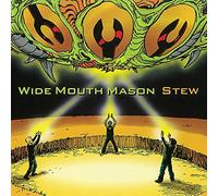 Wide Mouth Mason - Stew [VINYL]