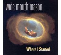 Wide Mouth Mason - Where I Started [VINYL]