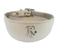 Wide Padded Leather Collar for Whippet, Greyhound, Lurcher, Sighthound, NL3