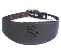 Wide Padded Leather Collar for Whippet, Greyhound, Lurcher, Sighthound, NL3