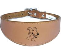Wide Padded Leather Collar for Whippet, Greyhound, Lurcher, Sighthound, NL3