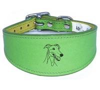 Wide Padded Leather Collar for Whippet, Greyhound, Lurcher, Sighthound, NL3
