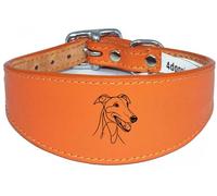 Wide Padded Leather Collar for Whippet, Greyhound, Lurcher, Sighthound, NL3