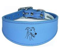 Wide Padded Leather Collar for Whippet, Greyhound, Lurcher, Sighthound, NL3