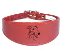 Wide Padded Leather Collar for Whippet, Greyhound, Lurcher, Sighthound, NL3