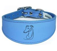 Wide Sighthound Leather Collar, Padded, Handmade, for Iggy, Whippet and Greyhound, NL16