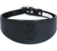 Wide Sighthound Leather Collar, Padded, Handmade, for Iggy, Whippet and Greyhound, NL16