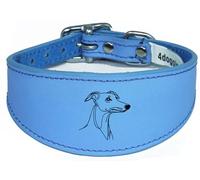 Wide Sighthound Leather Collar, Padded, Handmade, for Iggy, Whippet and Greyhound, NL29