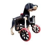 Widened Dog Forelimb Rehabilitation Wheelchair，Adjustable Pet Mobility Aid，lightweight Silent Aluminum Alloy Frame，Easy To Put On, No Interference with Defecation(S)