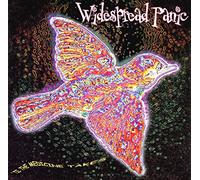 Widespread Panic - Til the Medicine Takes