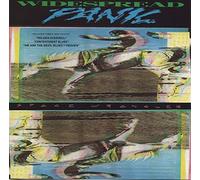 widespread panic - Widespread Panic/Space Wrangler