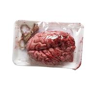 Widmann 01035 ? Blood Smeared Brain in Packaging