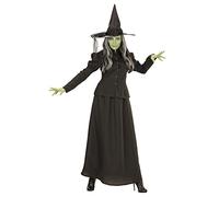 Widmann Adult Costume Fairytale Witch