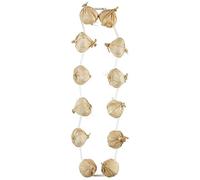 Widmann ? Garlic Unisex-adult Necklace, White, 48 cm, vd-wdm03615