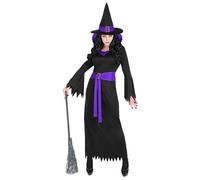 Women's Amazing Witch Fancy Dress Costume (dress, Hat) (m)