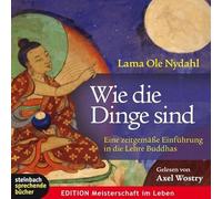 Wie die Dinge sind: Eine zeitgemäße Einführung in die Lehre Buddhas