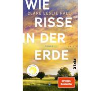 Wie Risse in der Erde: Roman | 'Ein Buch, das man vielleicht nie in seinem Leben wieder vergisst.' Deutschlandfunk Kultur