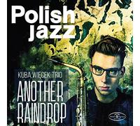 Wiecek, Kuba Trio - Another Raindrop [VINYL]