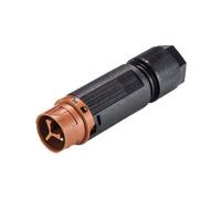 Wieland 46.032.4551.4 RST® MINI Bullet Connector Plug 2-Pin Straight