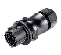 Wieland Electric 96.031.4053.1 Connector Push-fit Electrical Wiring