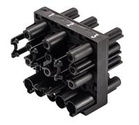 Wieland Gesis Classic Phase Selection Distributor - 92.050.0153.1