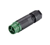 Wieland RST MINI Plug Connector Straight 2+PE Pins 46.032.4555.7