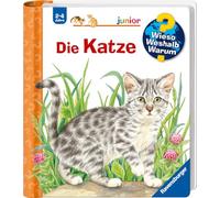 Wieso? Weshalb? Warum? junior, Band 21: Die Katze