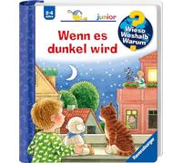 Constanza Droop Wieso? Weshalb? Warum? junior, Band 28: Wenn es d (Spiral Bound)
