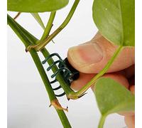 Wifehelper 100Pcs Plant Support Clips Garden Plastic Mini Stalks Flower Garden Tools Stem Clips Grow Upright Orchid,1.8 x 1.5 cm