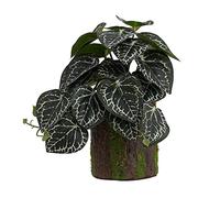 Wiffe Aquarium Artificial for, Black Crystal Anthur | Green-Plants FishTank Landscaped Decoration for Bearded-Dragon Lizards Amphibian Habitat Ornaments