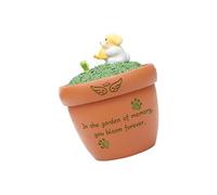 Wiffe Resin Pet Ashes Container with Secure Lid, Rebirth