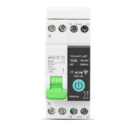 WiFi Circuit Breaker Switch for Smart Home Integration with Real Time Energy Monitoring and Voice Control (10A)