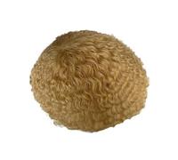 Wig Afro Wave Curly Men's Toupee Human Hair Replacement System Full Lace Wigs 6 inches for Daily Party Use(613 Color)