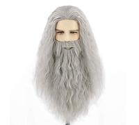 Wig and Beard Inspired by Gandalf Men's Long White Cosplay Wizard Sorcerer Prophet for Carnival Halloween Costume(Grijs)