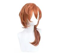 Wig Anime Cosplay Bungou Stray Dogs Cosplay Chuuya Nakahara Wig Short Gradient Brown 55 cm Long Curly Heat Resistant Hair Halloween Anime Role Play (NEVSTPFW)