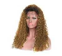 Wig Blonde Curly Synthetic Lace Front Wigs For Women And Girl Two Color Lace Front Wigs Synthetic Hair Wig Grey Wigs For Women (Onecolor 24 Inch)